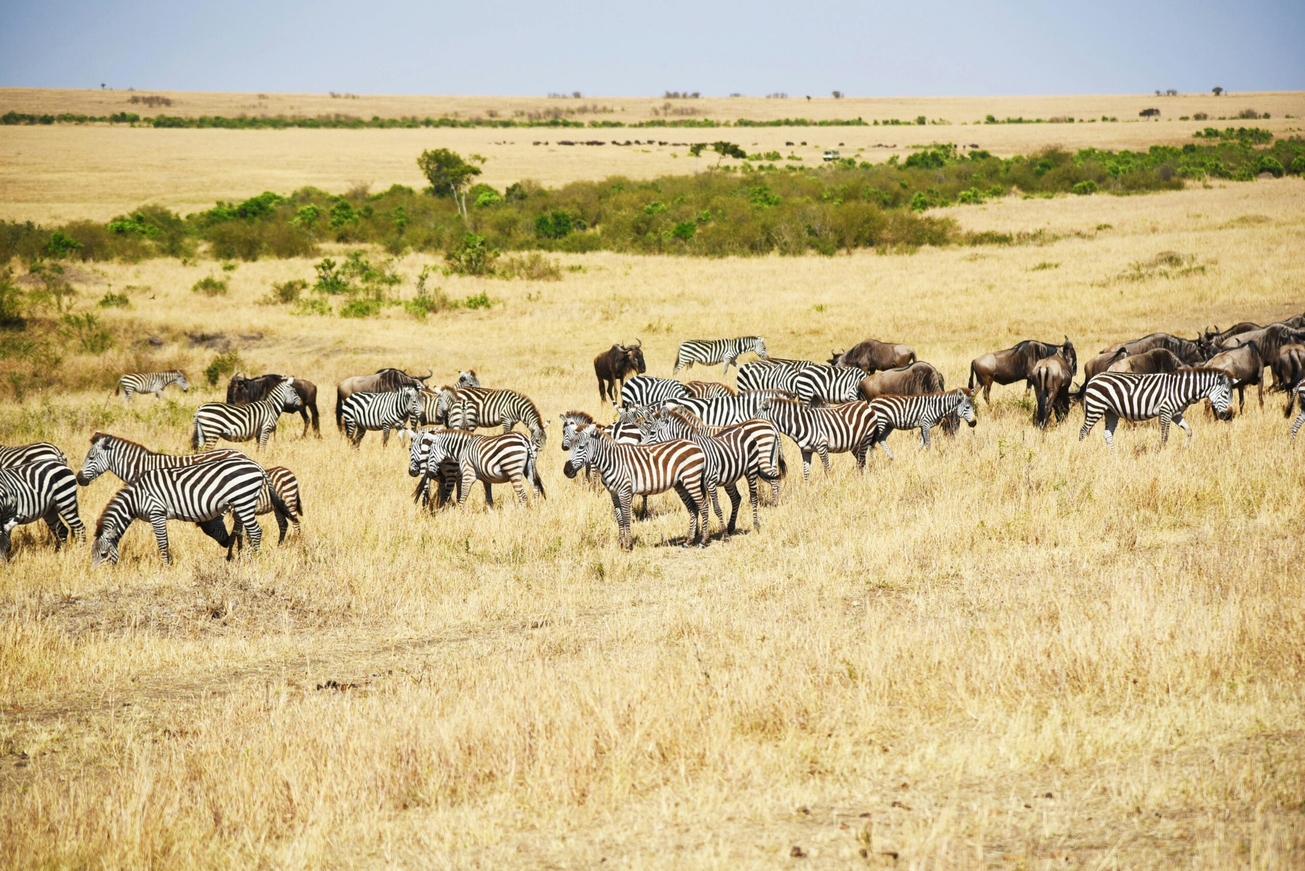 Amboseli National Park - "Elephant Trails and Kilimanjaro Views"